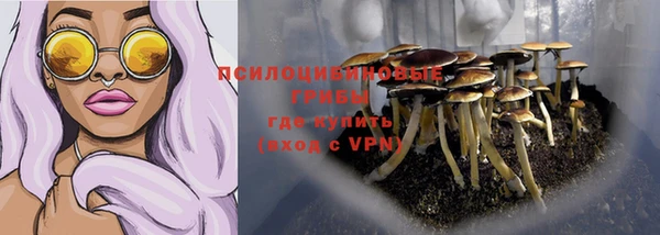 эйфоретик Белоозёрский