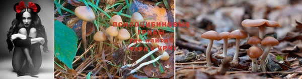 винт Беломорск