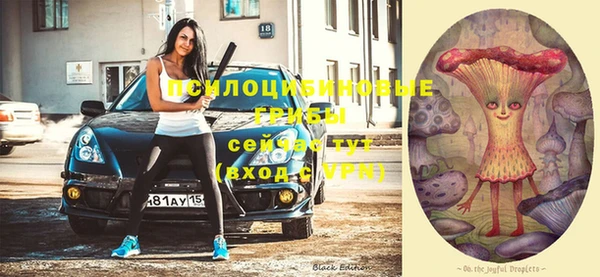 герыч Белокуриха